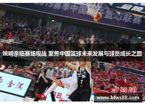 姚明亲临赛场观战 聚焦中国篮球未来发展与球员成长之路