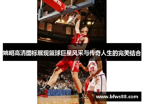姚明高清图标展现篮球巨星风采与传奇人生的完美结合
