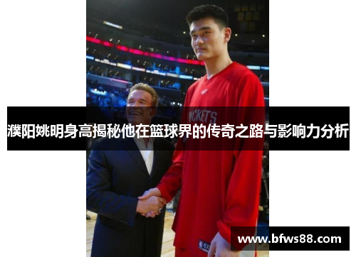 濮阳姚明身高揭秘他在篮球界的传奇之路与影响力分析